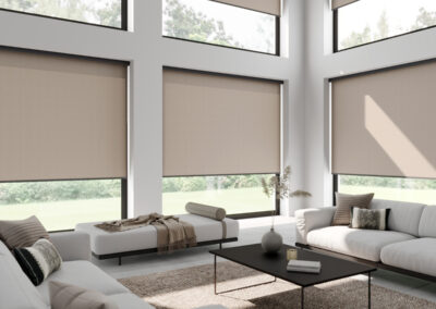 Amazing Roller Blinds