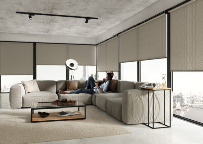 Living Room Roller Blinds